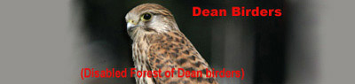Dean Birders