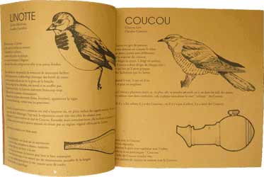 Parler aux oiseaux: Le guide des appeaux